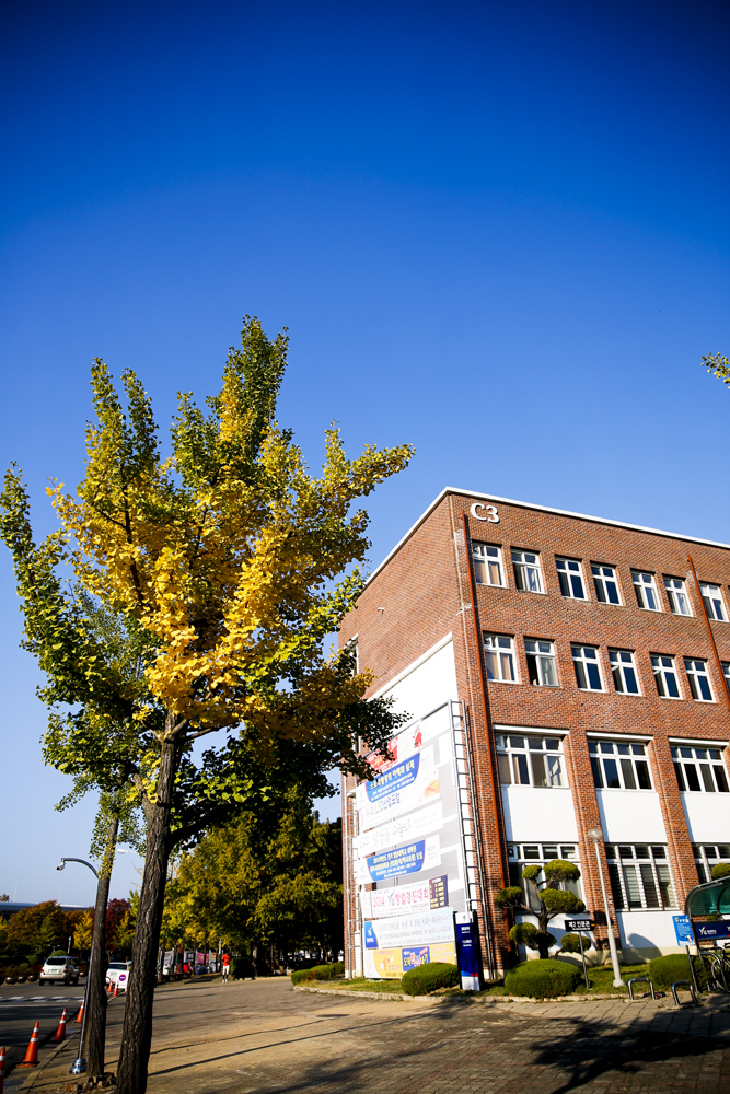 Campus-Autumn 2014